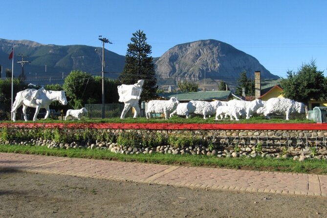 Coyhaique Sightseeing Tour - Good To Know