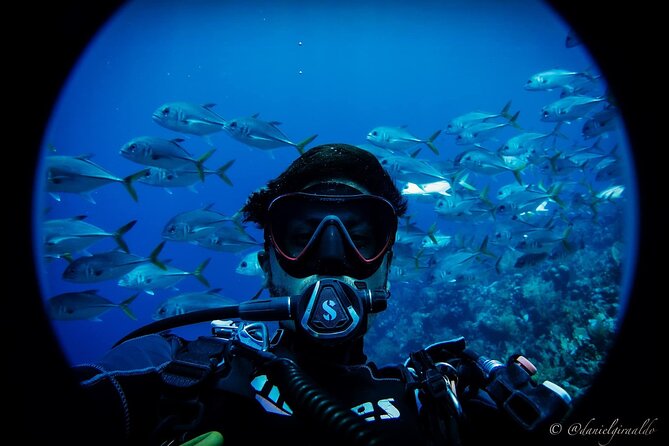 Cruise Guest Try Scuba Diving for Uncertified Divers W/ Transport - Good To Know