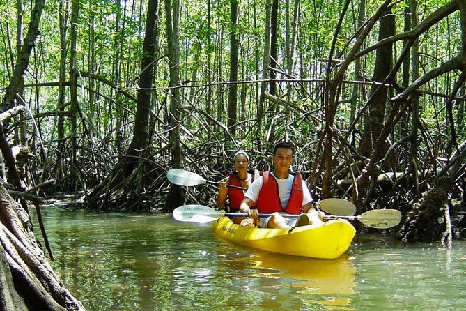 Damas Island Kayaking Tour From Manuel Antonio - Good To Know