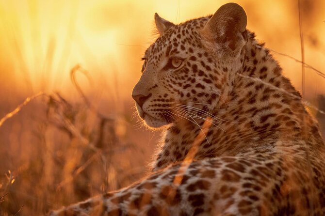 Day Safari Trip to Selous Game Reserve From Zanzibar - Good To Know