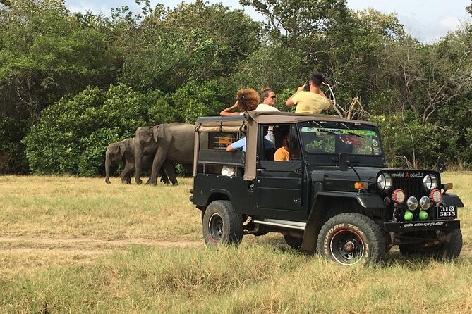 Day Tour From Colombo to Minneriya National Park Jeep Safari - Good To Know