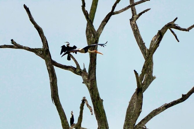 Day Tour From Colombo to Udawalawe National Park Jeep Safari - Good To Know