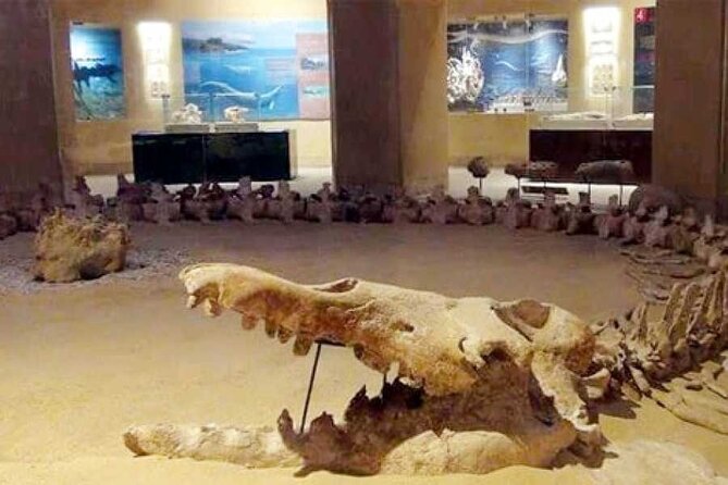 Day Tour to Fayoum From Cairo - Tour Details