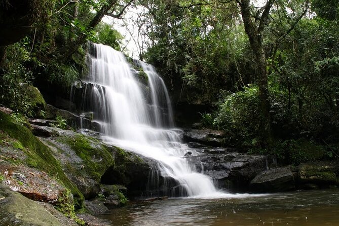 Day Tour to “National Park Ybycuí” - Good To Know