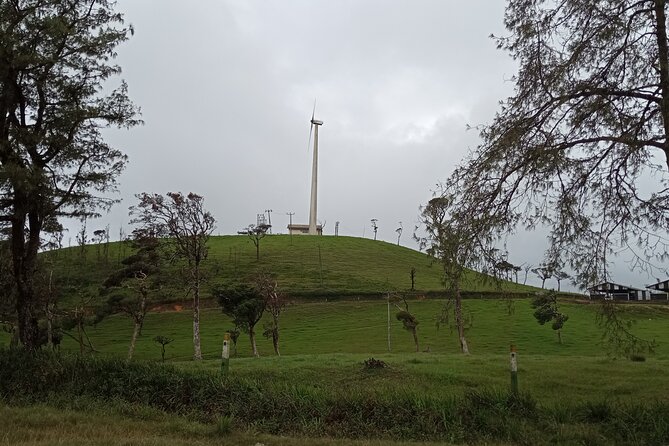 Day Tour to Nuwaraeliya From Kandy - Good To Know