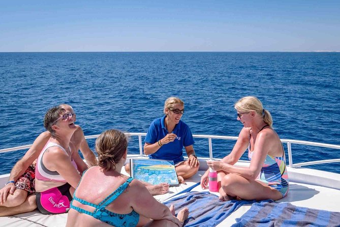 Day Tour to Red Sea in Ein El Sokhna From Cairo - Good To Know