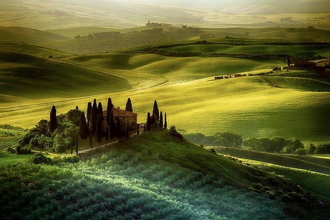 Day Trip From Florence: Deluxe Wine Tasting Tour in Montalcino - Private Tour - Good To Know