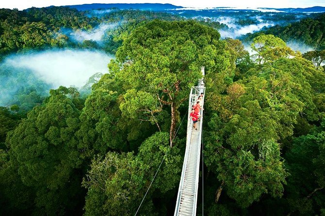 Day Trip From San Jose to Monteverde Cloud Forest & Sky Adventure Park - Good To Know