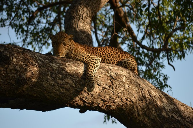 Day Trip Morogoro - Mikumi National Park - Good To Know