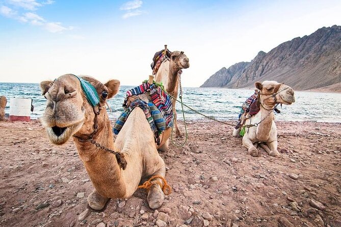 Day Trip to Dahabs Blue Hole & Canyon From Sharm El Sheikh