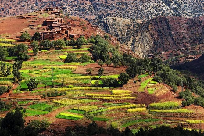 Day Trip to Imlil Valley - Good To Know