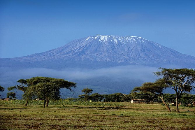 Day Trip to Kilimanjaro Hike to Mandara Hut - Good To Know
