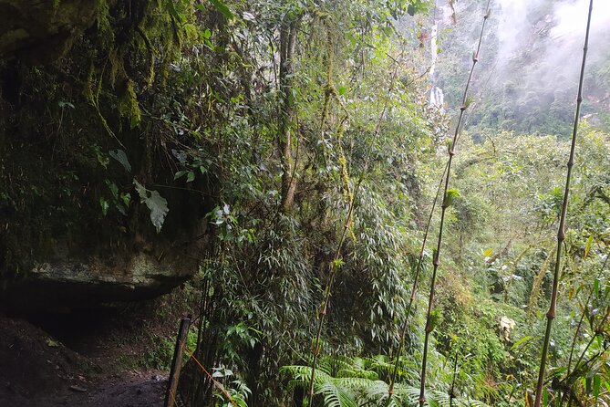 Day Trip to La Chorrera Park—Hiking Experience to Highest Waterfall in Colombia - Good To Know