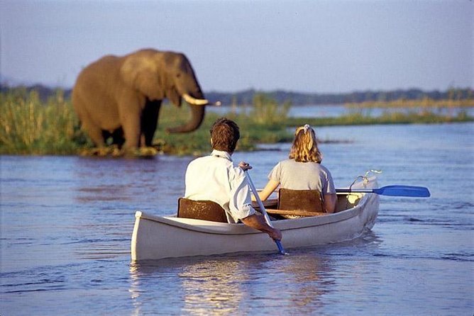 Day Trip to Lake Manyara - Good To Know