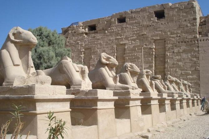 Day Trip to Luxor From Marsa Alam - Good To Know