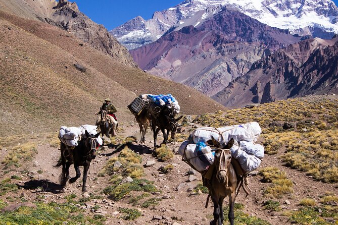 Day Trip to Sidi Fares, From Marrakech Including( Lunch,Breakfast ,Mule Trek,,) - Good To Know