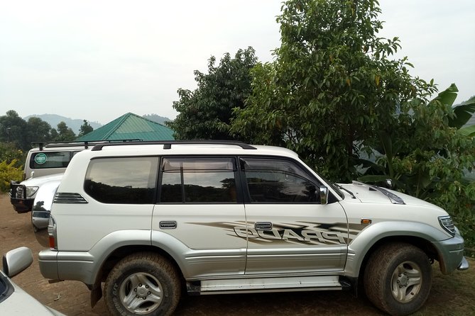 Day Vehicle Transfer From Kisoro to Mgahinga Gorilla National Park - Good To Know