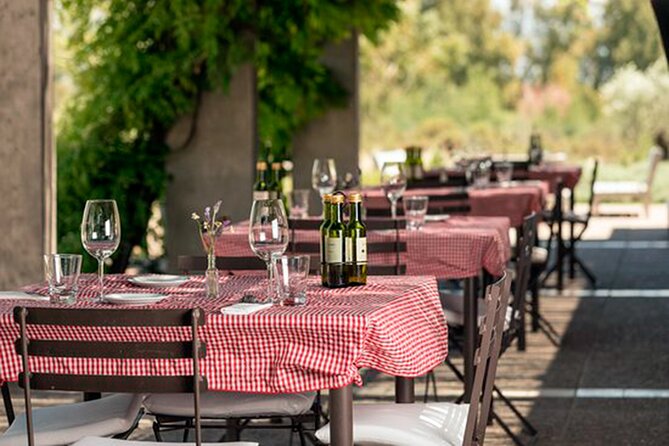 Deluxe Mendoza Half-Day Wine Tasting Tour - Good To Know