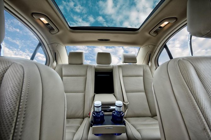 Departure by Luxury Car From Paris City to Paris CDG Airport - Good To Know