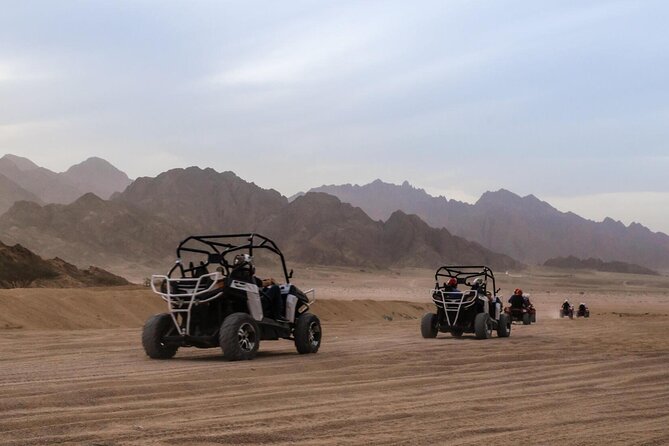 Desert Buggy Safari Driving Sunrise or Sunset in Sharm El Sheikh - Good To Know