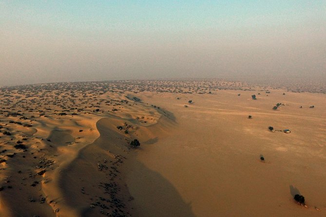Desert National Park Flaura Fauna From Jaisalmer - Good To Know