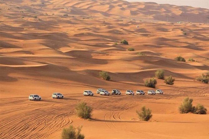 Desert Safari Camel Ride With BBQ Dinner in Dubai - Good To Know