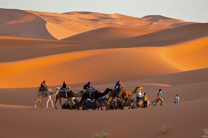 Desert Shared 3-Days Tour From Marrakech to Merzouga - Good To Know