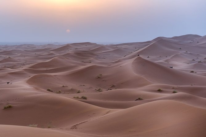 Desert Trip From Casablanca To Merzouga - Good To Know