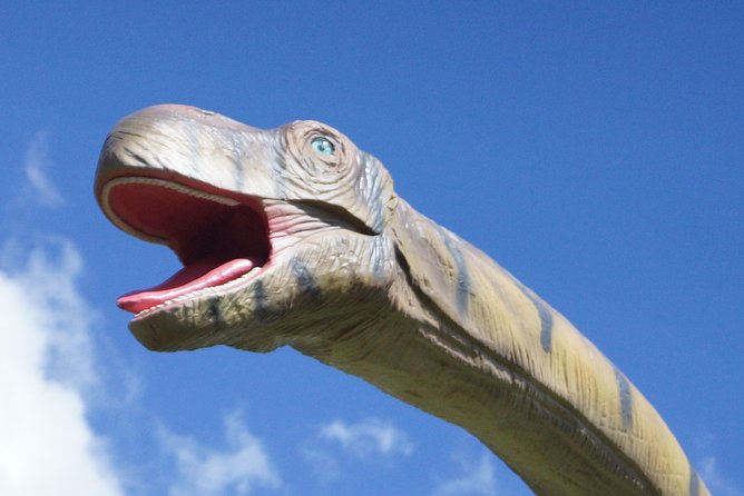 Dino Park, River Adventure, and Hot Springs From Playa Flamingo - Good To Know