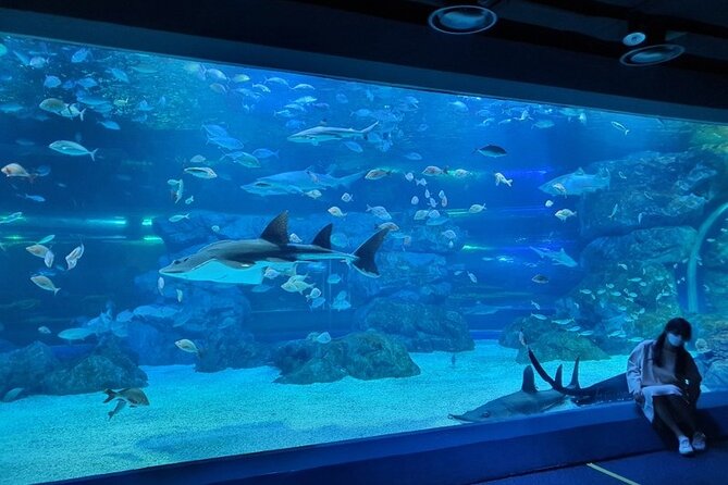 Discounted Entry Ticket for Gwanggyo Aqua Planet (Not Available for Korean Nationals) - Good To Know