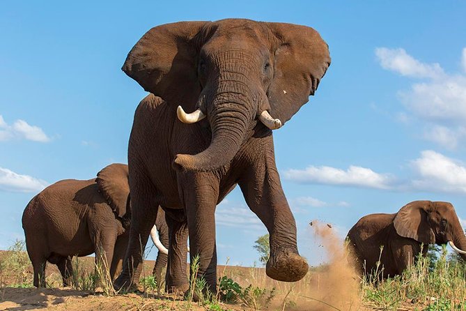 Discover a Thousand Hills of Rwanda & South Africa - Good To Know