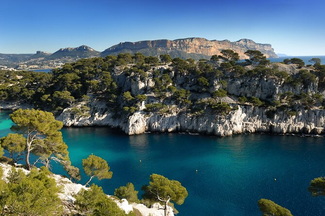 Discover Cassis From Marseille Cruise Port or Hotel by Luxury Van - Good To Know
