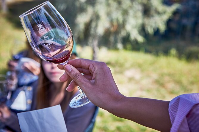 Discover Origin of Red Wine in Ribera Del Duero- Wine Tasting - Good To Know