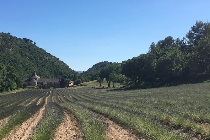 Discover Provence Including Avignon and Luberon Villages With a Local Guide - Good To Know