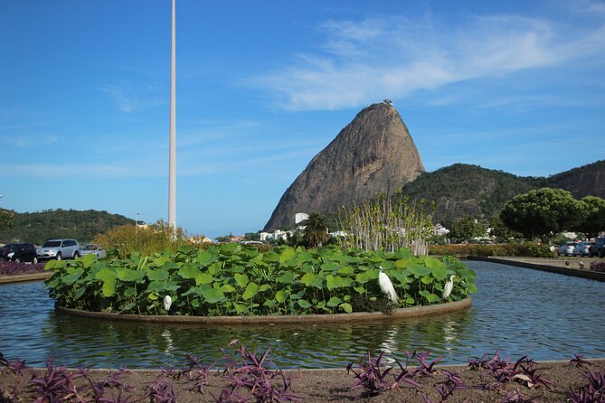Discover Rio Highlights: Christ Redeemer and Sugar Loaf - Good To Know