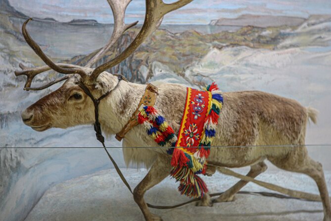 Discover Sami Culture for Tromso Museum Expedition - Good To Know