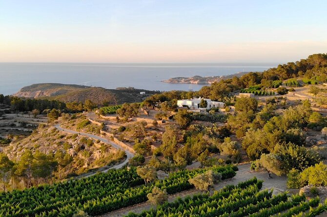 Discover the Essence of Ibiza'S Rich Wine Culture - Good To Know