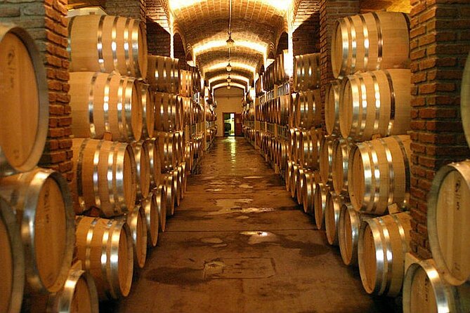 Discover the Flavors of Mendoza in Its Wineries and Oil Plants - Good To Know