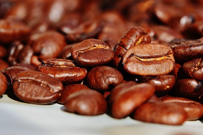 Discover the Unique Flavors of Medellín in Aroma a Café. - Good To Know