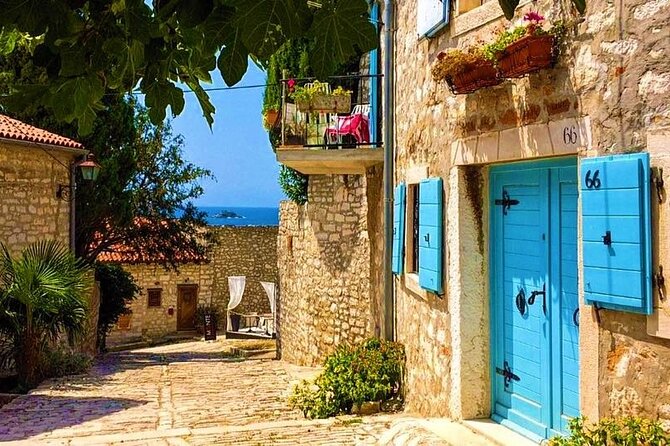 Divine Wine & Olive Oil Tasting in Istria Full-day Tour - Good To Know