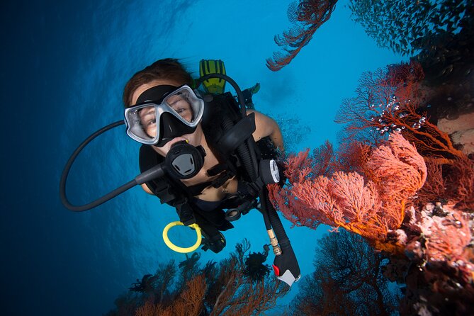 Diving Experience for Beginners in San Andres - Good To Know