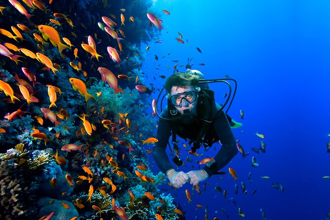 Diving Experience In Buzios - Good To Know