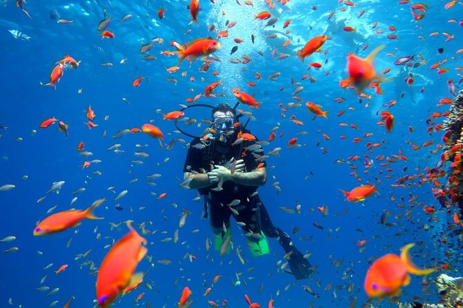 Diving in Hurghada for Beginners With Lunch and Transfer - Good To Know