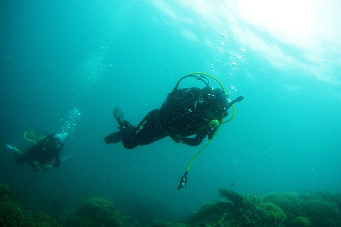 Diving Trip In Sharks Bay - Good To Know
