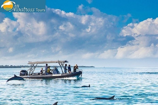 Dolphin Tour - Kizimkazi - Good To Know