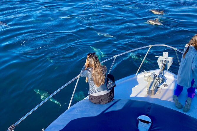 Dolphin Watching in Benalmadena - Good To Know