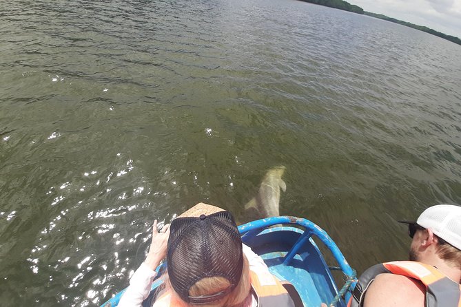Dolphin Watching in Puerto El Morro From Guayaquil - Good To Know