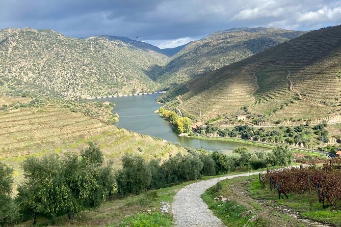 Douro Valley Private Tour and Wine Experience - Good To Know
