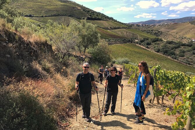 Douro: Walking Tour and Wine Tasting at Quinta Dos Murças - Good To Know