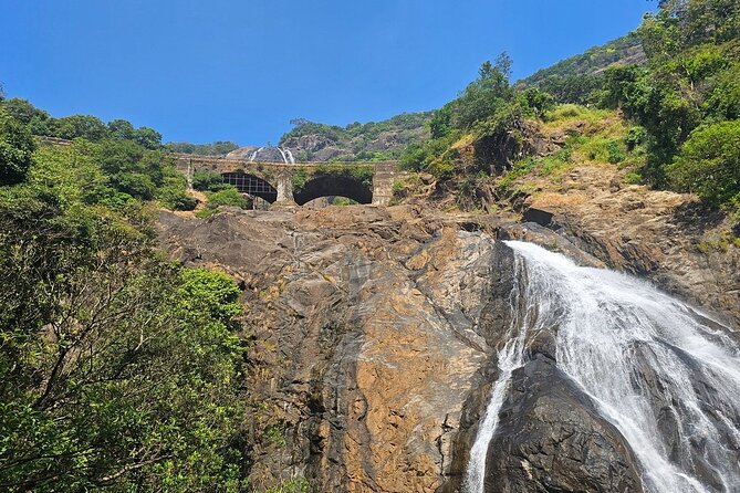 Dudhsagar Waterfalls, Jeep Safari & Spice Plantation Private Tour - Good To Know